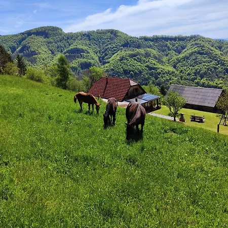 Relaxing Donacka Gora Alpstuga *