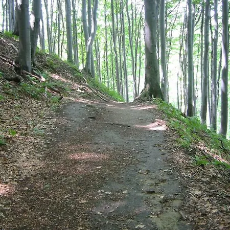 Alpstuga Relaxing Donacka Gora *