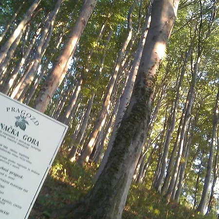 Relaxing Donacka Gora Alpstuga *