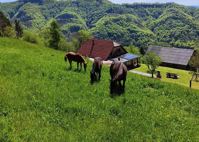 Relaxing Donacka Gora Chalet *