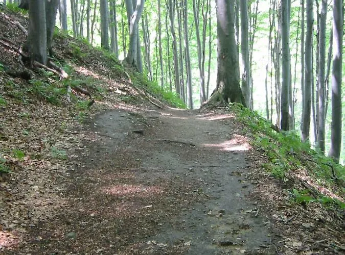 Chalet Relaxing Donacka Gora *